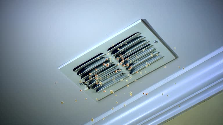 Best Home Air Vent Cleaning  in Ofallon, IL