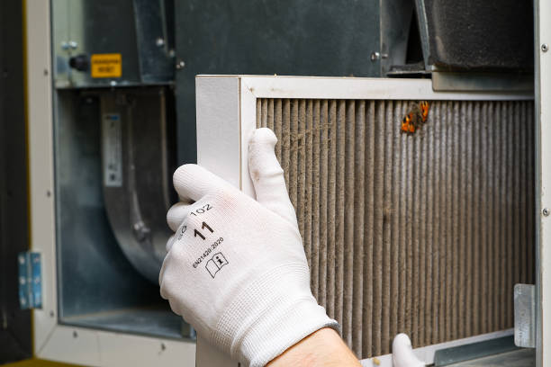 Best Home Air Vent Cleaning  in Ofallon, IL